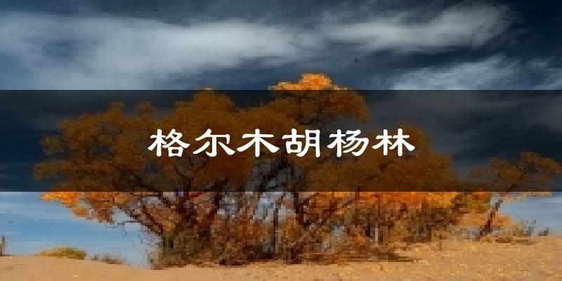 格尔木胡杨林气温